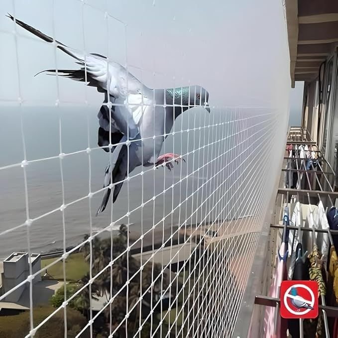 Pigeon safety nets on terrace – Yelahanka apartment - Tharak Enterprises Bangalore